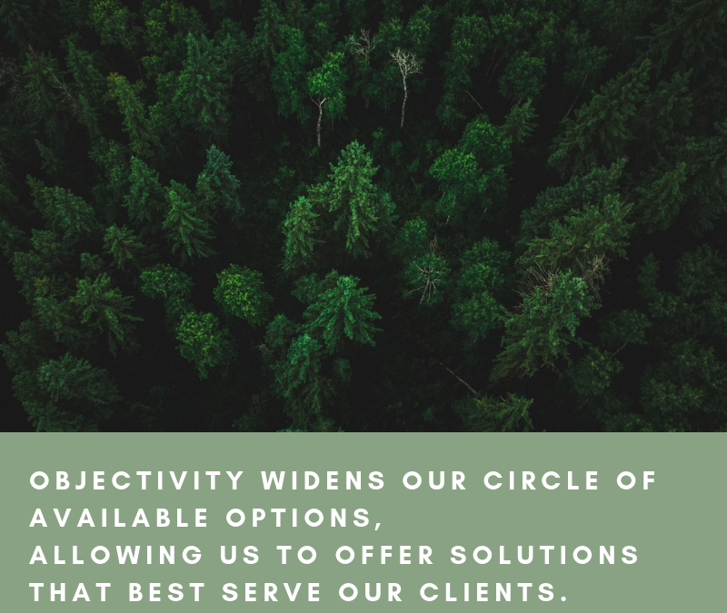 Zuri Group values objectivity: Objectivity widens our circle of available options, allowing us to offer solutions that best serve our clients.