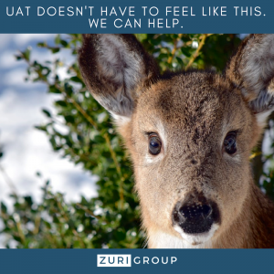 User Acceptance Testing doesn't have to make you feel like a deer in the headlights - Zuri Group can help